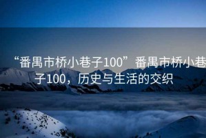 “番禺市橋小巷子100”番禺市橋小巷子100，歷史與生活的交織