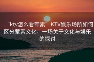“ktv怎么看葷素”KTV娛樂(lè)場(chǎng)所如何區(qū)分葷素文化，一場(chǎng)關(guān)于文化與娛樂(lè)的探討