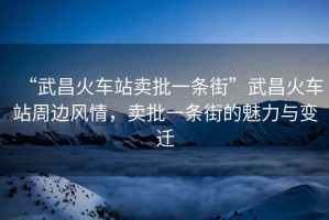 “武昌火車站賣批一條街”武昌火車站周邊風(fēng)情，賣批一條街的魅力與變遷