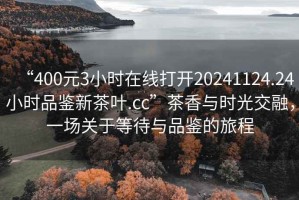 “400元3小時(shí)在線打開20241124.24小時(shí)品鑒新茶葉.cc”茶香與時(shí)光交融，一場關(guān)于等待與品鑒的旅程