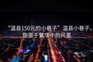 “溫縣150元的小巷子”溫縣小巷子，隱匿于繁華中的風景