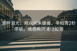 湖畔淚光，觀眾問朱媛媛、辛柏青2秒停頓，情感瞬間涌動如潮