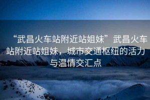 “武昌火車站附近站姐妹”武昌火車站附近站姐妹，城市交通樞紐的活力與溫情交匯點(diǎn)