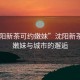 “沈陽(yáng)新茶可約嫩妹”沈陽(yáng)新茶之韻，嫩妹與城市的邂逅