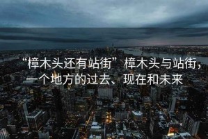 “樟木頭還有站街”樟木頭與站街，一個地方的過去、現(xiàn)在和未來
