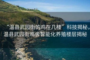 “溫縣武園街的雞在幾樓”科技揭秘，溫縣武園街雞舍智能化養(yǎng)殖樓層揭秘