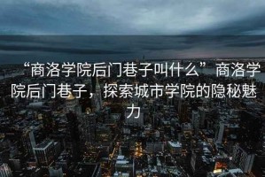 “商洛學院后門巷子叫什么”商洛學院后門巷子，探索城市學院的隱秘魅力