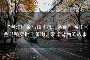 “溫江區(qū)金馬鎮(zhèn)賣批一條街”溫江區(qū)金馬鎮(zhèn)賣批一條街，繁華背后的故事