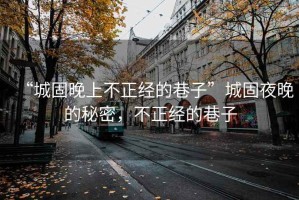 “城固晚上不正經(jīng)的巷子”城固夜晚的秘密，不正經(jīng)的巷子