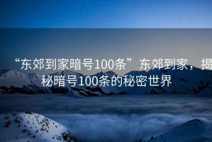 “東郊到家暗號100條”東郊到家，揭秘暗號100條的秘密世界