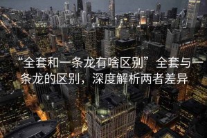 “全套和一條龍有啥區(qū)別”全套與一條龍的區(qū)別，深度解析兩者差異