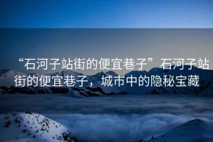 “石河子站街的便宜巷子”石河子站街的便宜巷子，城市中的隱秘寶藏