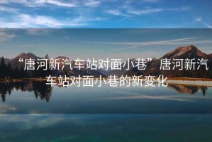 “唐河新汽車站對面小巷”唐河新汽車站對面小巷的新變化