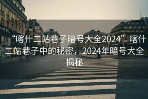“喀什二站巷子暗號大全2024”喀什二站巷子中的秘密，2024年暗號大全揭秘