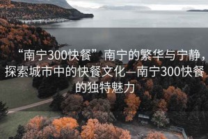 “南寧300快餐”南寧的繁華與寧靜，探索城市中的快餐文化—南寧300快餐的獨特魅力