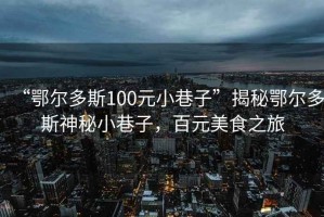 “鄂爾多斯100元小巷子”揭秘鄂爾多斯神秘小巷子，百元美食之旅