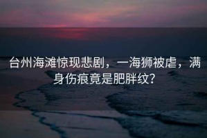 臺(tái)州海灘驚現(xiàn)悲劇，一海獅被虐，滿身傷痕竟是肥胖紋？