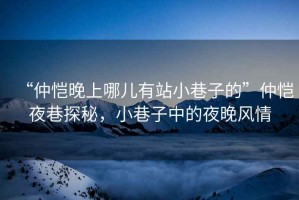 “仲愷晚上哪兒有站小巷子的”仲愷夜巷探秘，小巷子中的夜晚風(fēng)情