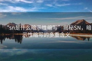 “sn是什么暗示性縮寫”揭秘SN，暗示性縮寫的多重含義