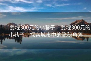 “姜堰300元的小巷子”姜堰300元的小巷子，探索城市中的隱秘角落