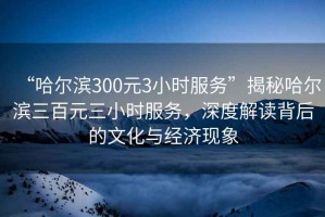 “哈爾濱300元3小時服務”揭秘哈爾濱三百元三小時服務，深度解讀背后的文化與經(jīng)濟現(xiàn)象