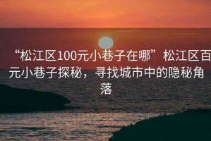 “松江區(qū)100元小巷子在哪”松江區(qū)百元小巷子探秘，尋找城市中的隱秘角落