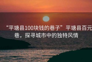 “平塘縣100塊錢的巷子”平塘縣百元巷，探尋城市中的獨(dú)特風(fēng)情