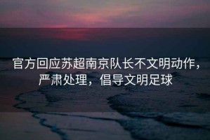 官方回應蘇超南京隊長不文明動作，嚴肅處理，倡導文明足球