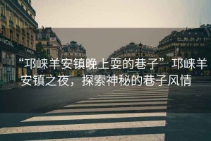 “邛崍羊安鎮(zhèn)晚上耍的巷子”邛崍羊安鎮(zhèn)之夜，探索神秘的巷子風(fēng)情