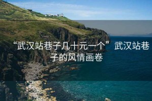 “武漢站巷子幾十元一個(gè)”武漢站巷子的風(fēng)情畫(huà)卷