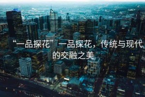 “一品探花”一品探花，傳統(tǒng)與現(xiàn)代的交融之美