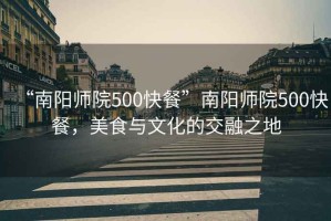 “南陽(yáng)師院500快餐”南陽(yáng)師院500快餐，美食與文化的交融之地