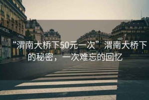 “渭南大橋下50元一次”渭南大橋下的秘密，一次難忘的回憶