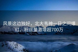 風(fēng)景這邊獨(dú)好，北大韋神一日之間爆紅，粉絲量激增超700萬(wàn)