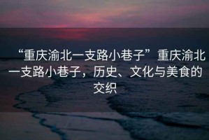 “重慶渝北一支路小巷子”重慶渝北一支路小巷子，歷史、文化與美食的交織