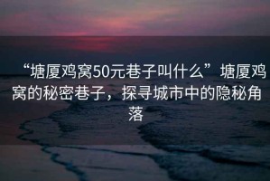 “塘廈雞窩50元巷子叫什么”塘廈雞窩的秘密巷子，探尋城市中的隱秘角落