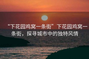 “下花園雞窩一條街”下花園雞窩一條街，探尋城市中的獨特風情