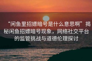 “閑魚里招嫖暗號(hào)是什么意思啊”揭秘閑魚招嫖暗號(hào)現(xiàn)象，網(wǎng)絡(luò)社交平臺(tái)的監(jiān)管挑戰(zhàn)與道德倫理探討