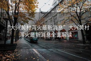 “大興黃村瀉火最新消息”大興黃村瀉火最新消息全面解讀
