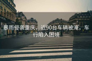 暴雨侵襲重慶，近90臺車輛被淹，車行陷入困境