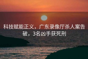 科技賦能正義，廣東錄像廳殺人案告破，3名兇手獲死刑