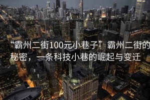 “霸州二街100元小巷子”霸州二街的秘密，一條科技小巷的崛起與變遷