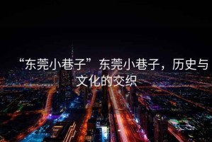 “東莞小巷子”東莞小巷子，歷史與文化的交織