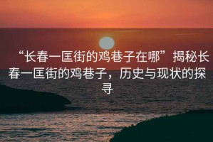 “長(zhǎng)春一匡街的雞巷子在哪”揭秘長(zhǎng)春一匡街的雞巷子，歷史與現(xiàn)狀的探尋