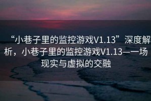 “小巷子里的監(jiān)控游戲V1.13”深度解析，小巷子里的監(jiān)控游戲V1.13—一場現(xiàn)實(shí)與虛擬的交融
