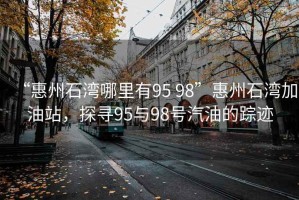 “惠州石灣哪里有95 98”惠州石灣加油站，探尋95與98號汽油的蹤跡