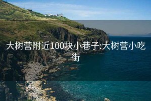 大樹(shù)營(yíng)附近100塊小巷子:大樹(shù)營(yíng)小吃街