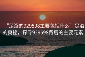 “足浴的929598主要包括什么”足浴的奧秘，探尋929598背后的主要元素