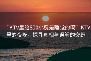 “KTV里給800小費(fèi)是睡覺(jué)的嗎”KTV里的夜晚，探尋真相與誤解的交織