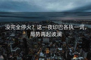 沒完全停火？這一夜印巴各執(zhí)一詞，局勢再起波瀾
